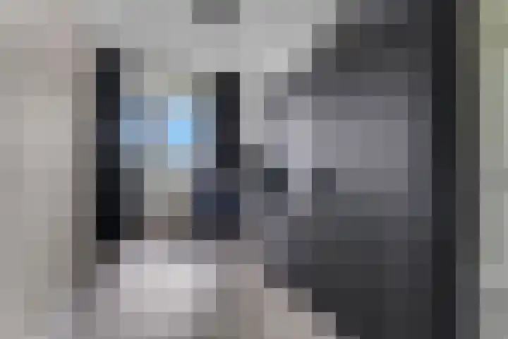 Zuiderkruis 526 Veenendaal thumbnail 30