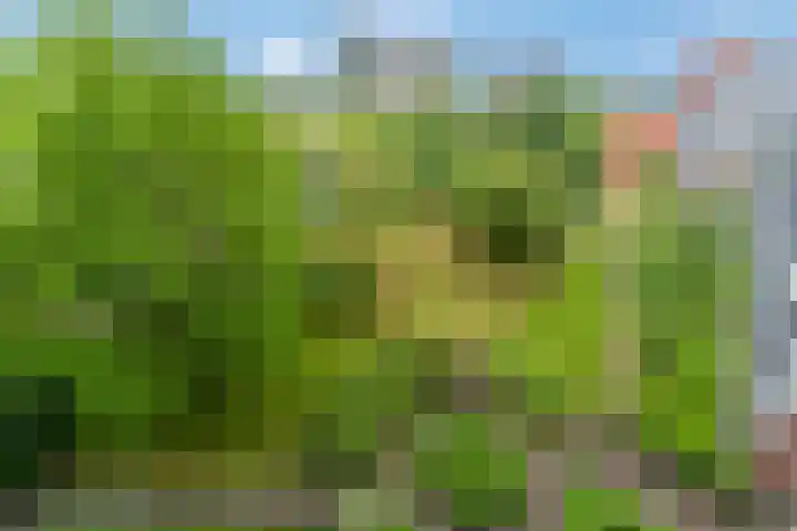 Zuiderkruis 526 Veenendaal thumbnail 38