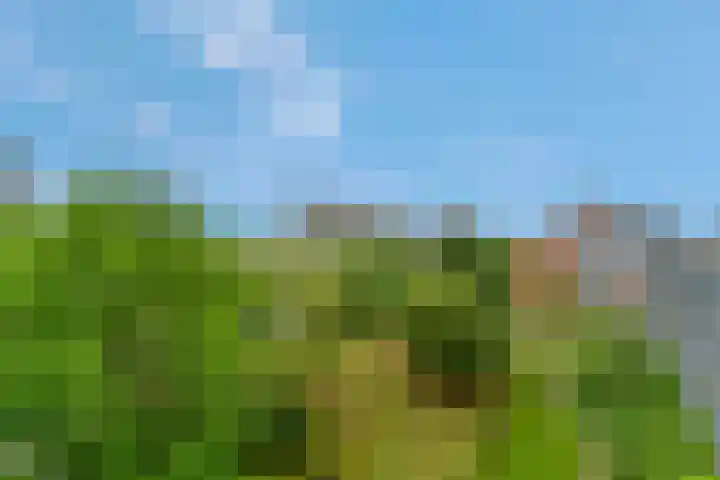 Zuiderkruis 526 Veenendaal thumbnail 39