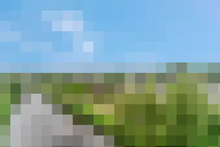 Zuiderkruis 526 Veenendaal thumbnail 4