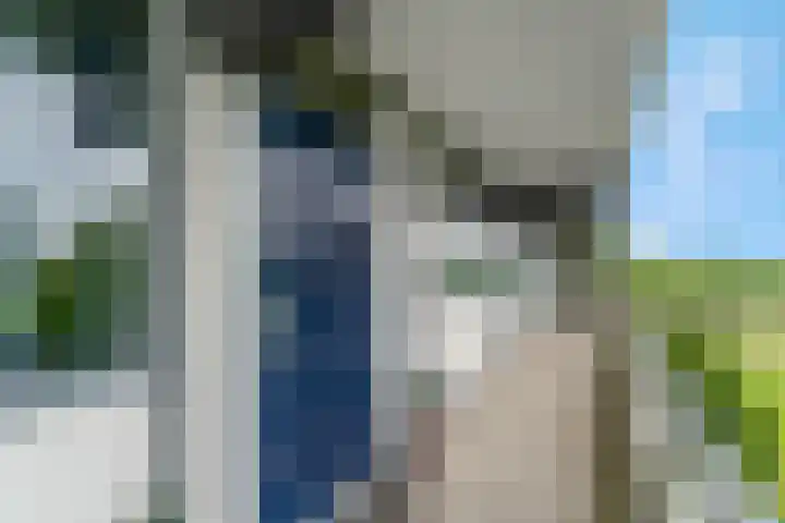 Zuiderkruis 526 Veenendaal thumbnail 7