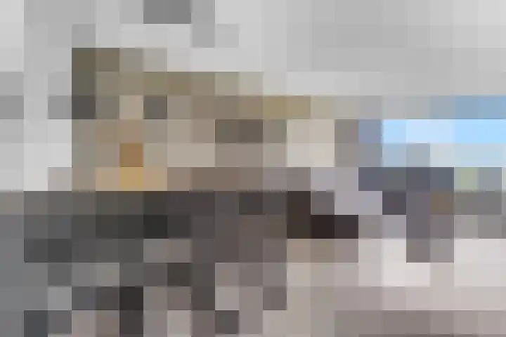 Zuiderkruis 526 Veenendaal thumbnail 9
