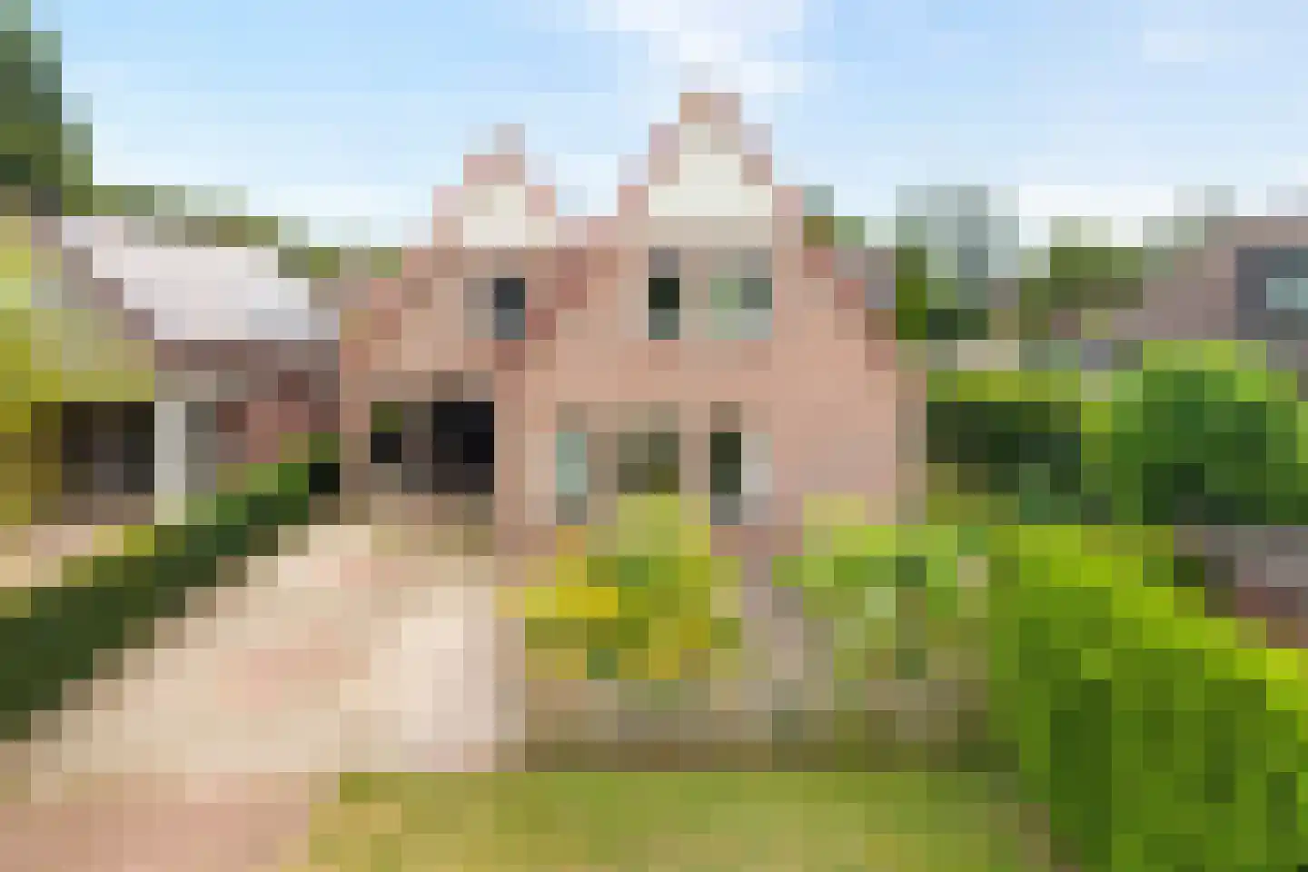 Zuiderkruis 56 De Krim thumbnail 4