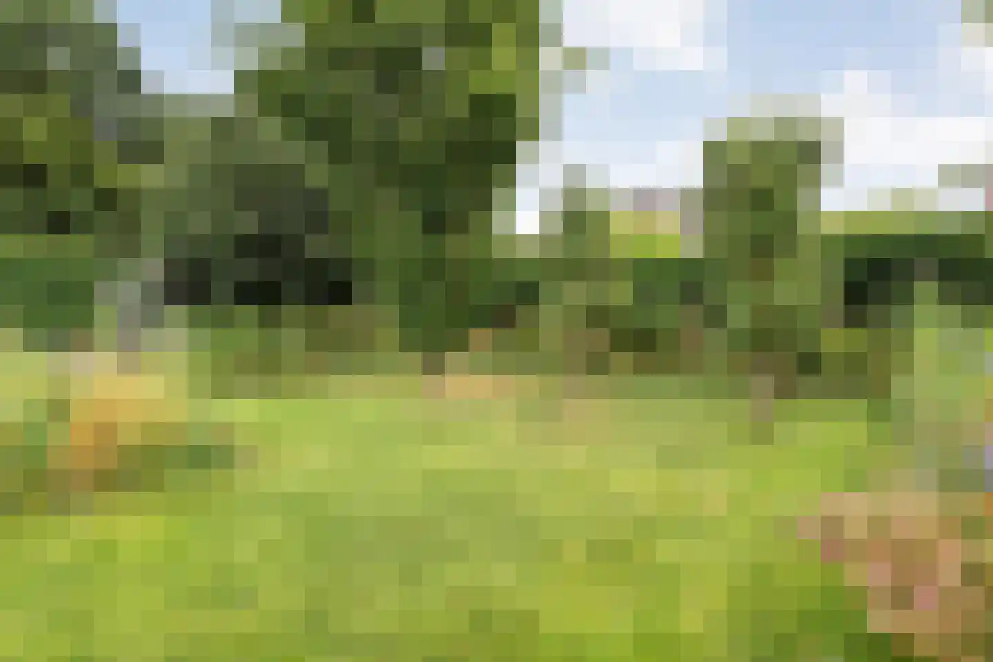 Zuiderkruis 56 De Krim thumbnail 55