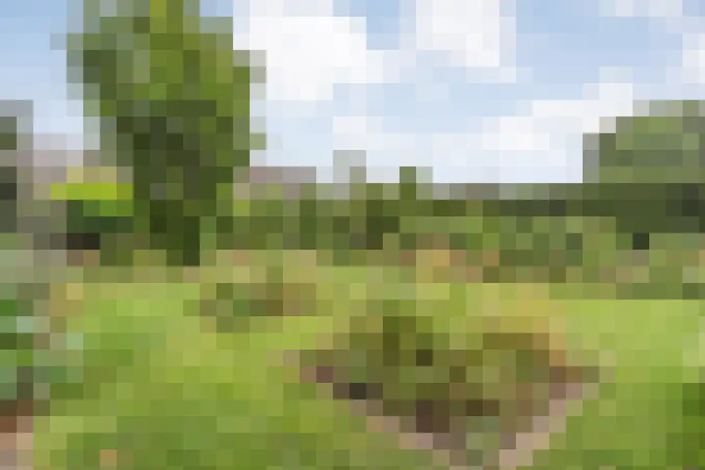 Zuiderkruis 56 De Krim thumbnail 56