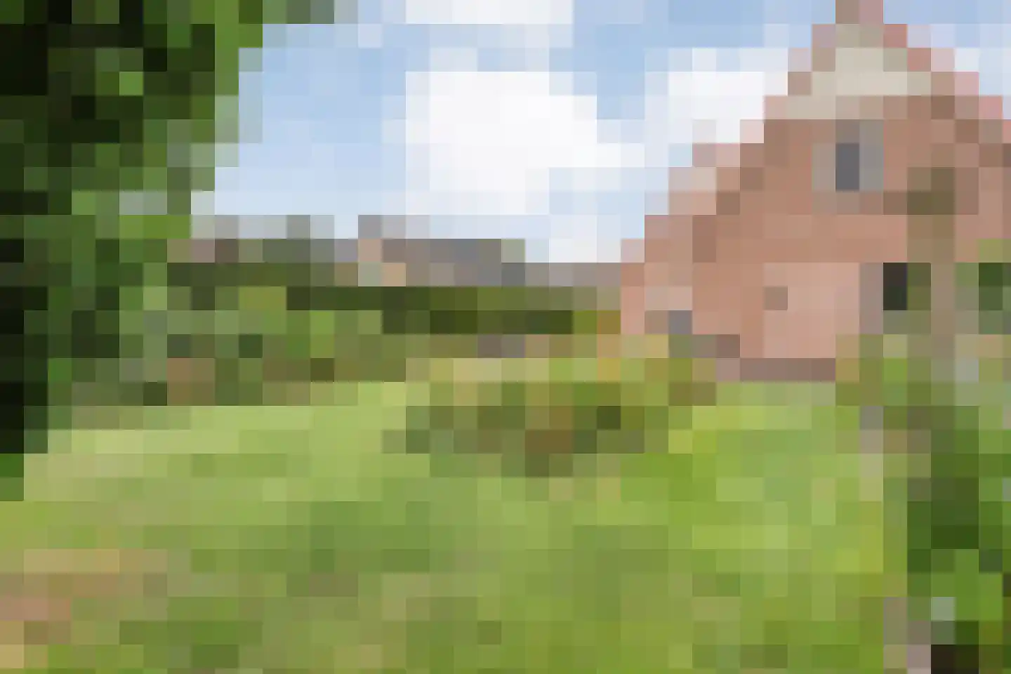 Zuiderkruis 56 De Krim thumbnail 59