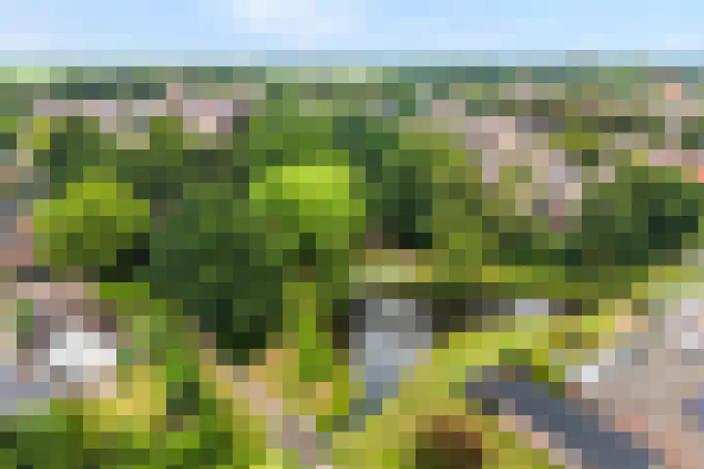 Zuiderkruis 56 De Krim thumbnail 6