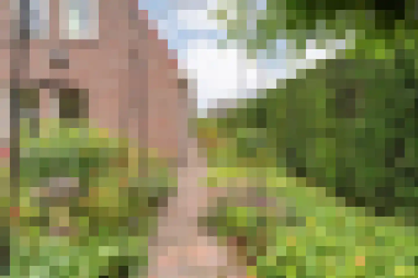 Zuiderkruis 56 De Krim thumbnail 60