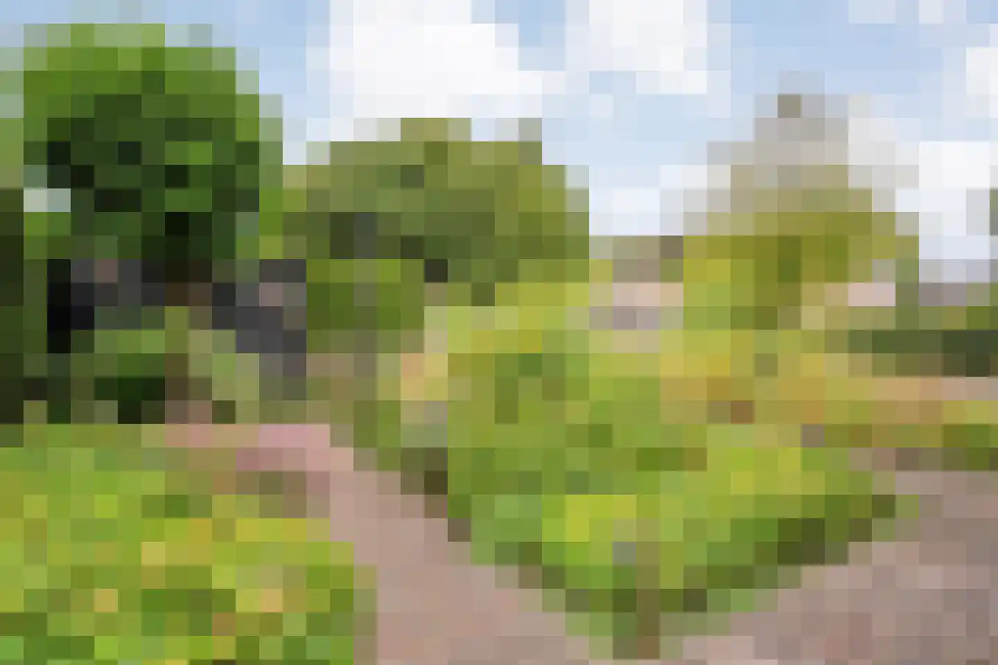Zuiderkruis 56 De Krim thumbnail 62
