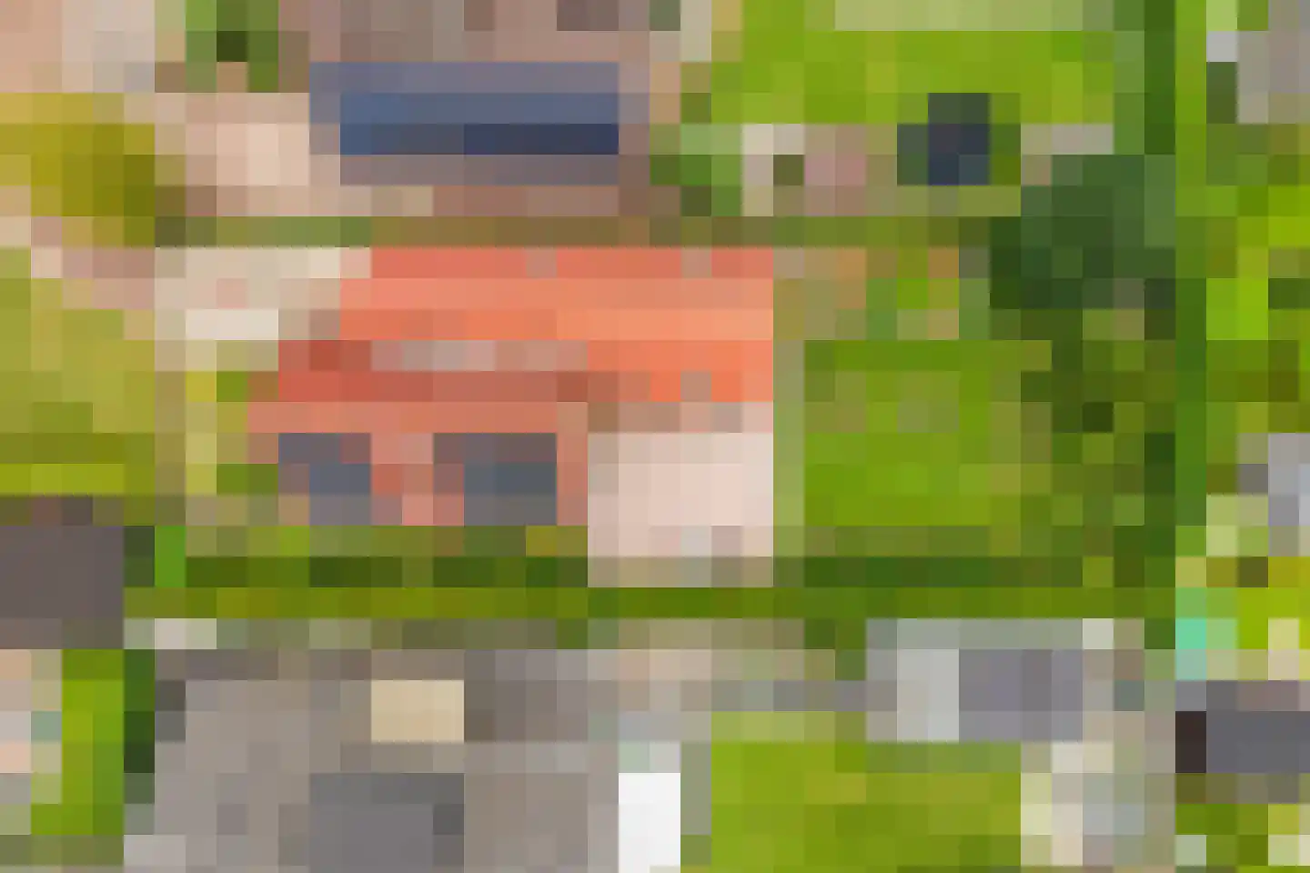Zuiderkruis 56 De Krim thumbnail 63