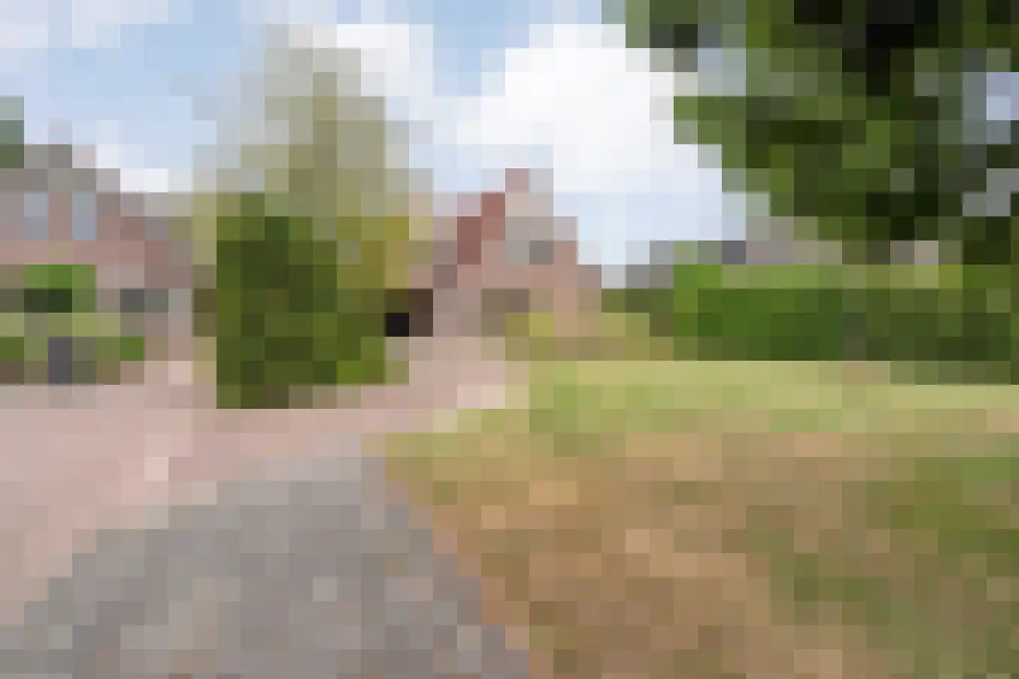 Zuiderkruis 56 De Krim thumbnail 7