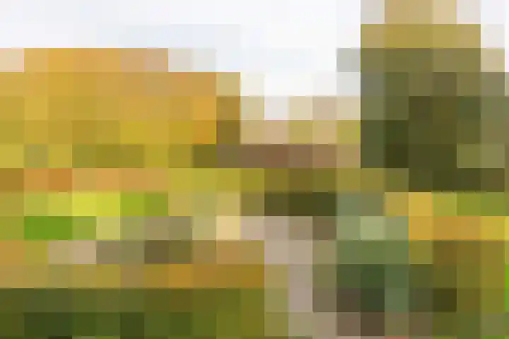 Zuiderkruis 588 Veenendaal thumbnail 16