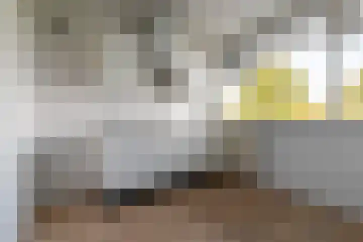 Zuiderkruis 630 Veenendaal thumbnail 11