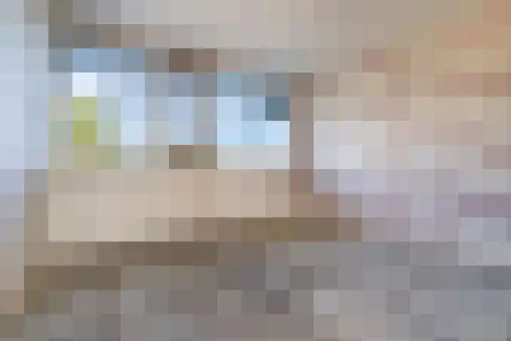 Zuiderkruis 630 Veenendaal thumbnail 12
