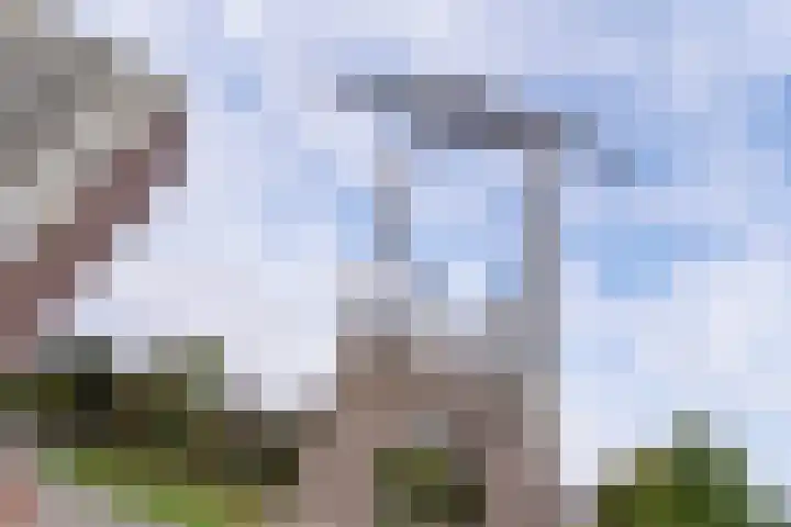 Zuiderkruis 630 Veenendaal thumbnail 24