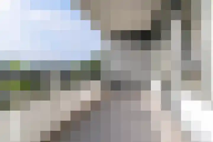 Zuiderkruis 630 Veenendaal thumbnail 8