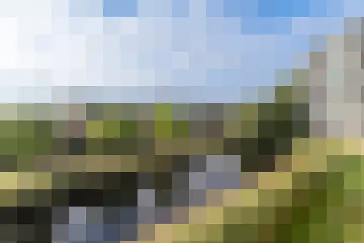 Zuiderkruis 630 Veenendaal thumbnail 9