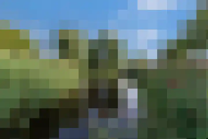 Zuiderkruis 640 Veenendaal thumbnail 23