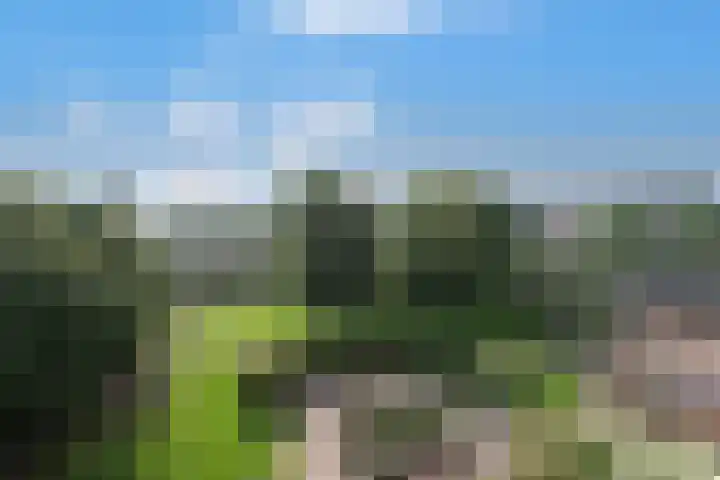 Zuiderkruis 640 Veenendaal thumbnail 6