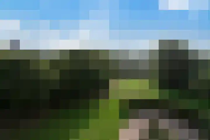 Zuiderkruis 640 Veenendaal thumbnail 7