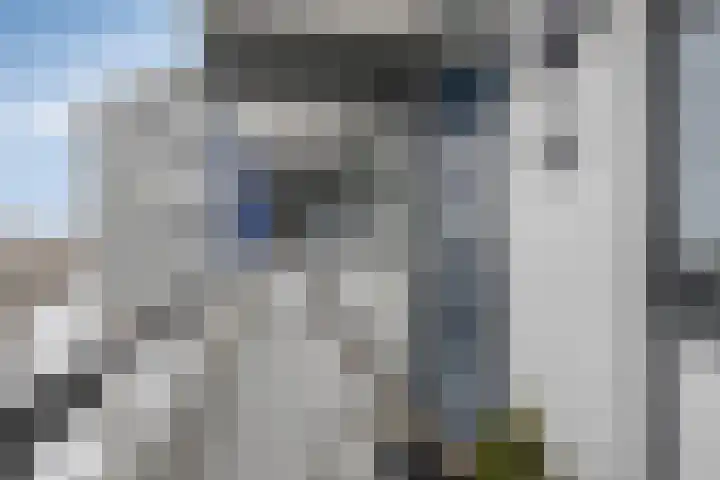 Zuiderkruis 650 Veenendaal thumbnail 10