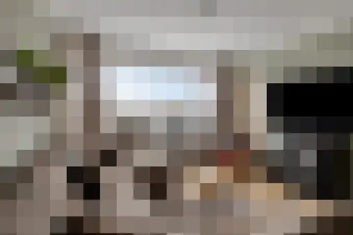 Zuiderkruis 650 Veenendaal thumbnail 17