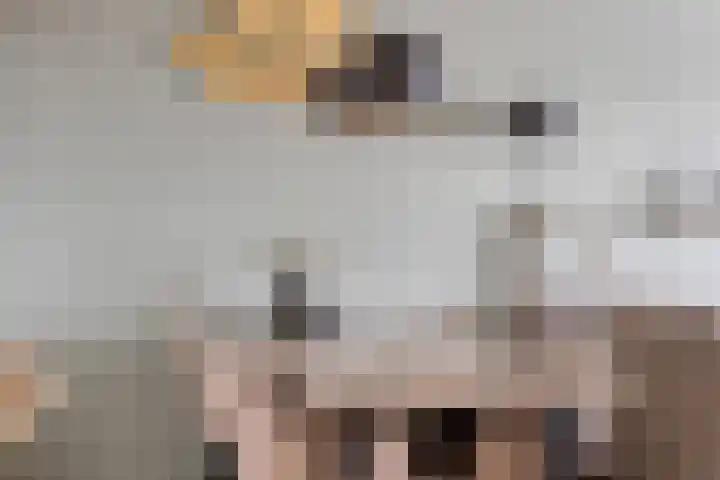 Zuiderkruis 650 Veenendaal thumbnail 20