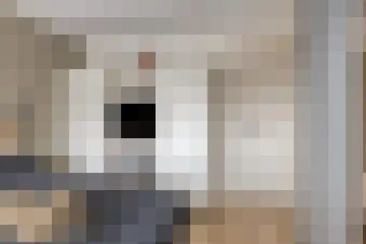 Zuiderkruis 650 Veenendaal thumbnail 23