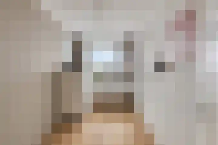 Zuiderkruis 650 Veenendaal thumbnail 28