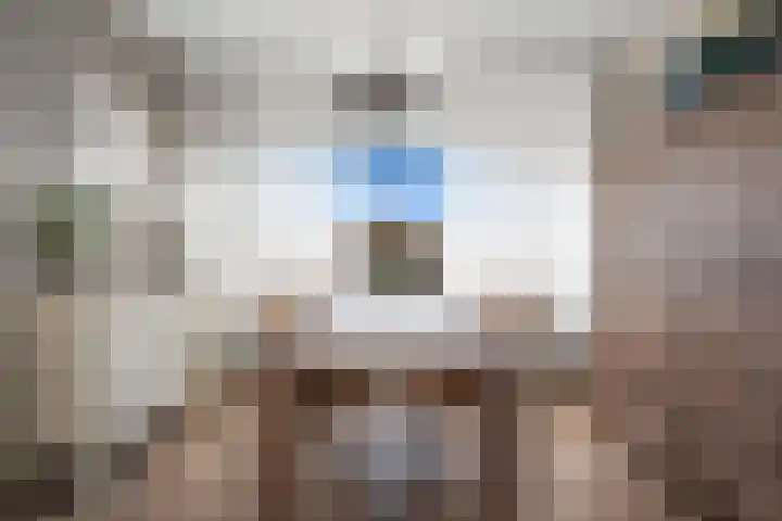 Zuiderkruis 7 Klazienaveen thumbnail 12