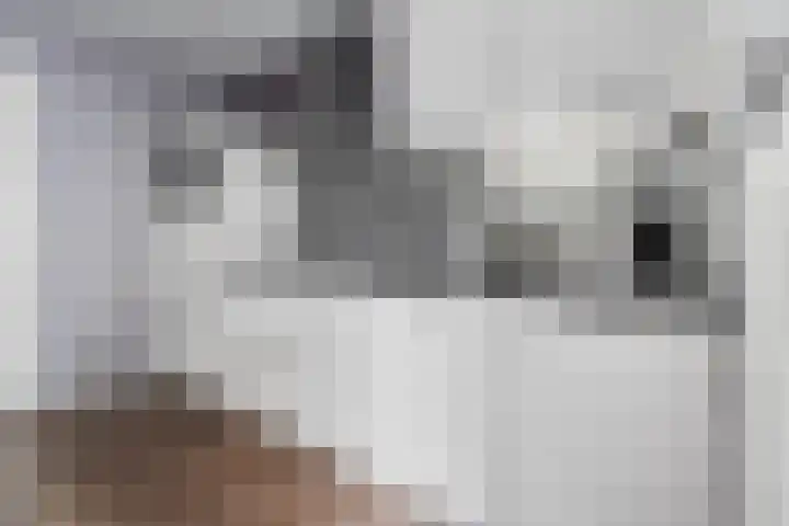 Zuiderkruis 7 Klazienaveen thumbnail 13