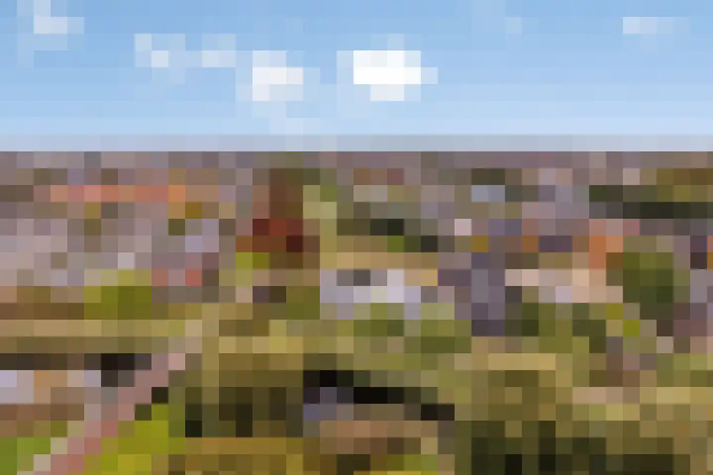 Zuiderkruis 736 Veenendaal thumbnail 22