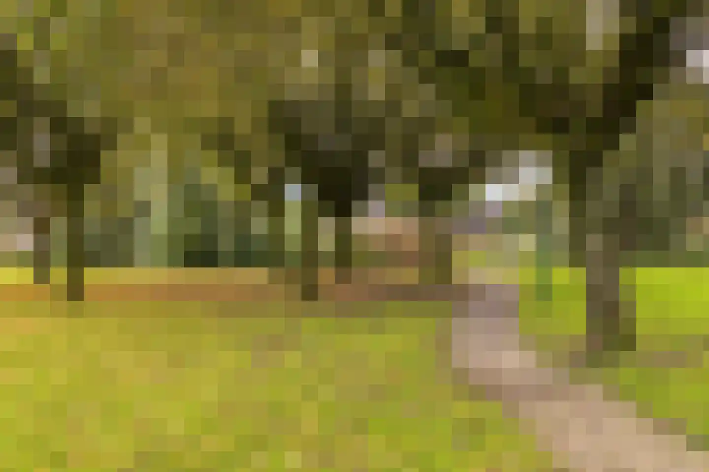 Zuiderkruis 736 Veenendaal thumbnail 27