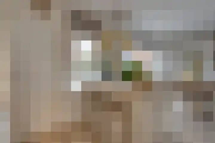 Zuiderkruis 77 Hoogeveen thumbnail 11