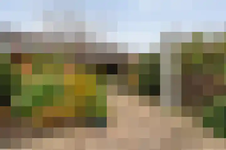 Zuiderkruis 77 Hoogeveen thumbnail 31