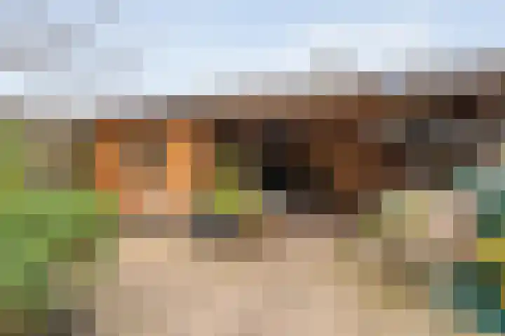 Zuiderkruis 77 Hoogeveen thumbnail 32