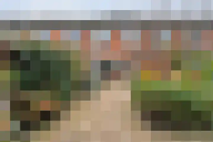 Zuiderkruis 77 Hoogeveen thumbnail 35