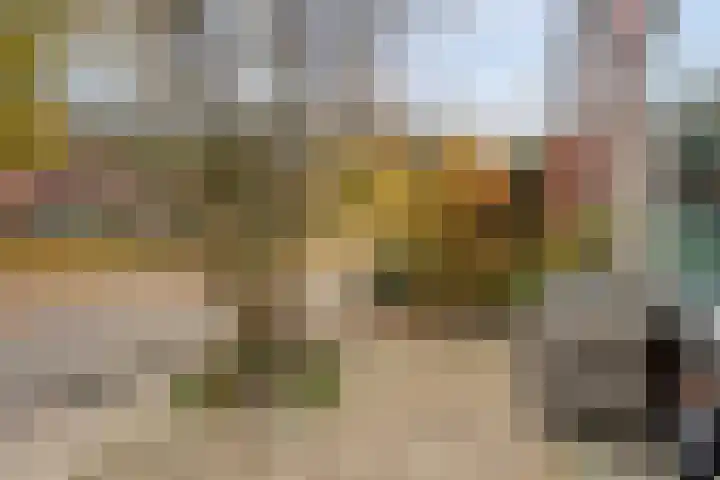 Zuiderkruis 77 Hoogeveen thumbnail 37