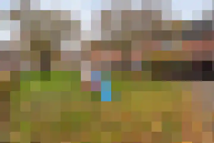 Zuiderkruis 77 Hoogeveen thumbnail 42