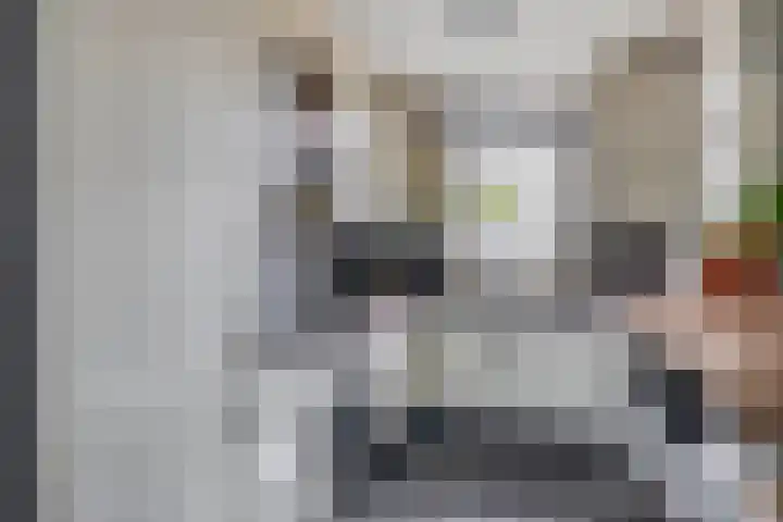 Zuiderkruis 79 Lisse thumbnail 10