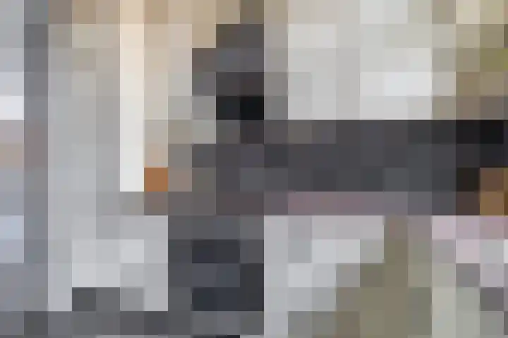 Zuiderkruis 79 Lisse thumbnail 11