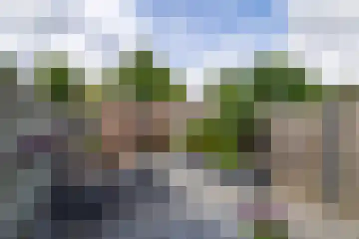 Zuiderkruis 79 Lisse thumbnail 14