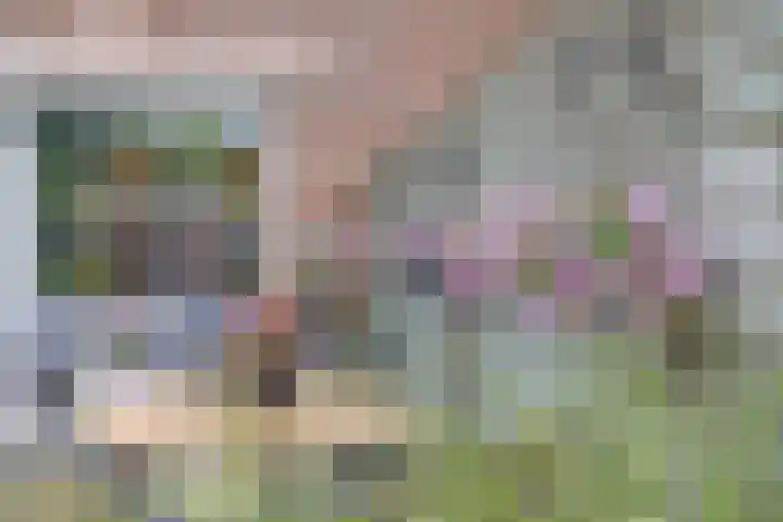 Zuiderkruis 79 Lisse thumbnail 15