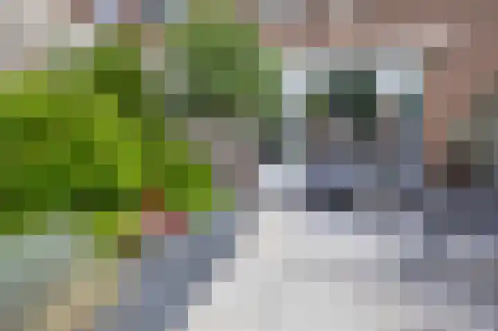 Zuiderkruis 79 Lisse thumbnail 17