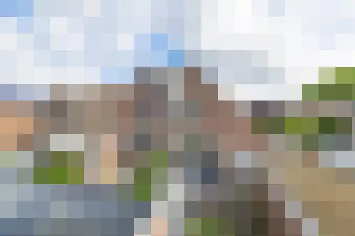 Zuiderkruis 79 Lisse thumbnail 18