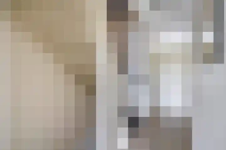 Zuiderkruis 79 Lisse thumbnail 20