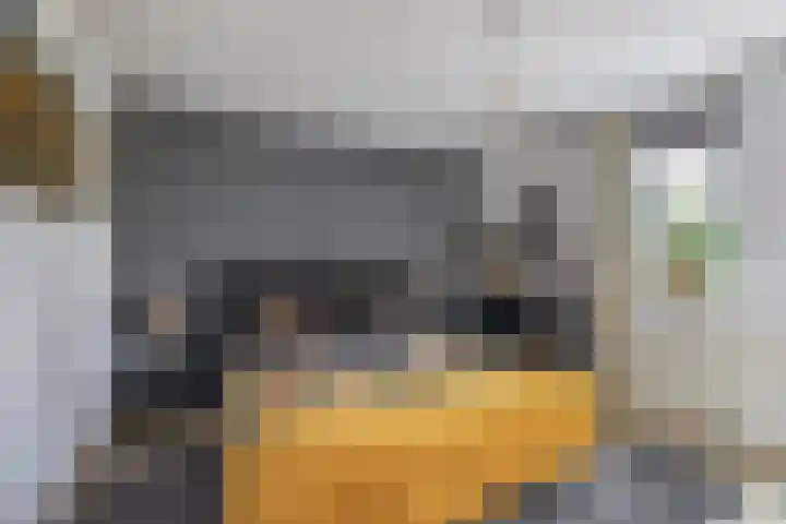 Zuiderkruis 79 Lisse thumbnail 21