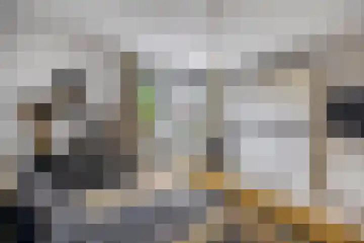 Zuiderkruis 79 Lisse thumbnail 22