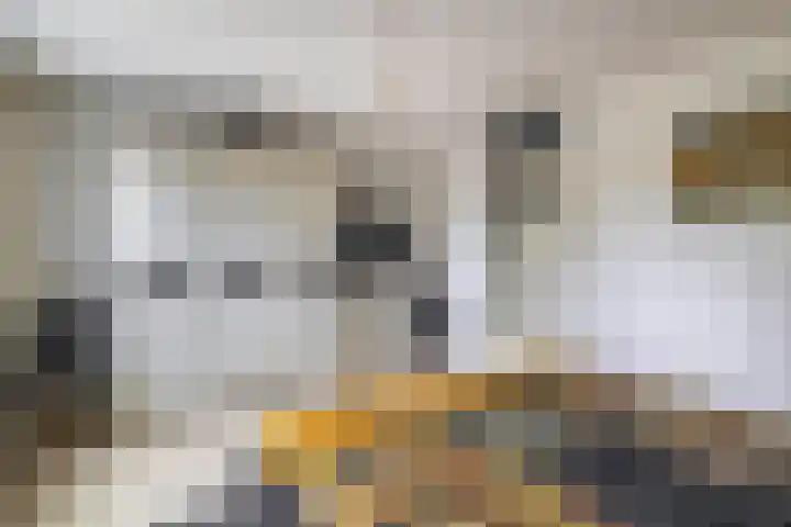 Zuiderkruis 79 Lisse thumbnail 23