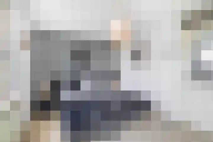 Zuiderkruis 79 Lisse thumbnail 24